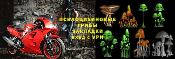 соль ск Алзамай