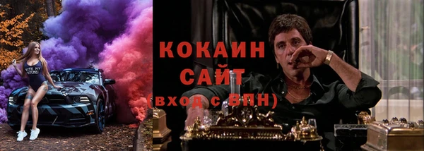 амф Алексин
